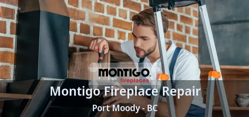 Montigo Fireplace Repair Port Moody - BC Montigo Fireplace Repair Port Moody - BC