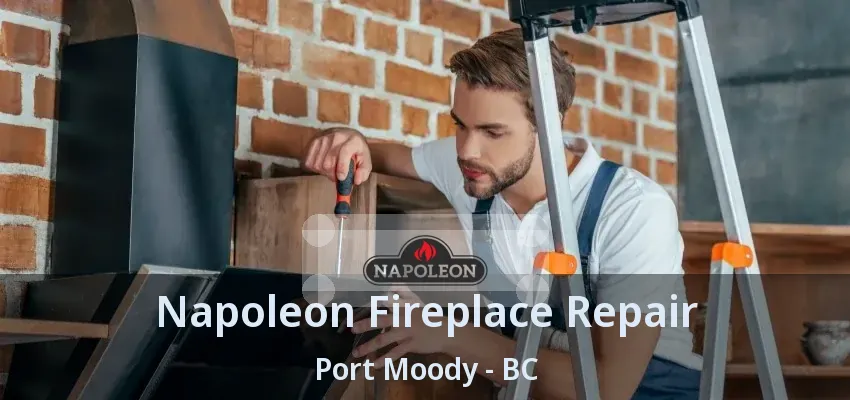 Napoleon Fireplace Repair Port Moody - BC Napoleon Fireplace Repair Port Moody - BC